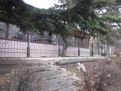 Прикрепленное изображение: Ворона с орехом.1.JPG